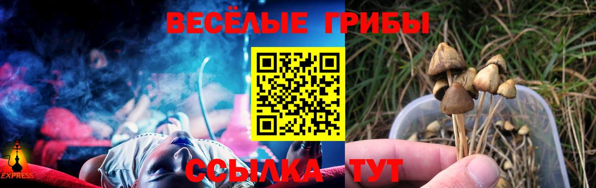 Псилоцибиновые грибы мицелий Ростов-на-Дону